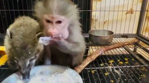 Люся с Соней ВЕСЕЛО лопают кашу на вкусном молоке наперегонки, а Ангелина контролирует сестричку!