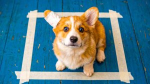 СТРАШНЫЙ ЧЕЛЛЕНДЖ КВАДРАТ ИЗ СКОТЧА!! ИЗ НЕГО НЕ ВЫЙТИ!!