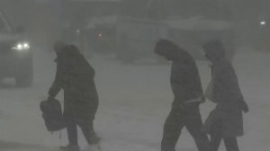 Аэропорт Вашингтона остановил работу из-за снежной бури.