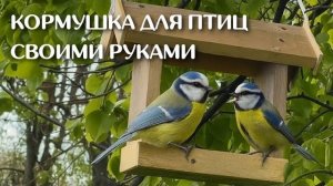 Подкармливаем птиц на нашей производственной базе!