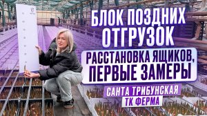 БЛОК ПОЗДНИХ ОТГРУЗОК 1-6 МАРТА