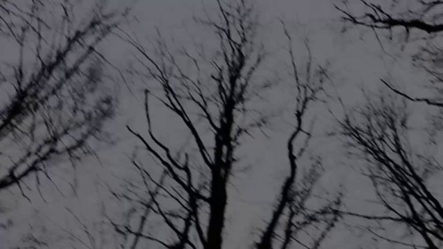 ПРЕОДОЛЕНИЕ.
глава первая. смотреть онлайн
