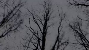 ПРЕОДОЛЕНИЕ.
глава первая.