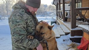 Январские холода, неунывающие собаки и интересный вечер у печки