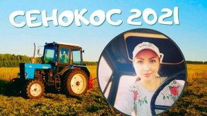 Сенокос 2021: техника, девушка на тракторе, заготовка сена на мтз, кто будет есть сено?