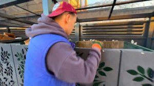 Как_я_зарабатываю_лазая_по_мусоркам_Dumpster_Diving_RUSSIA_#