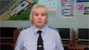 Сводка ГИБДД