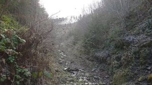 Побег из Украины： Как мы шли 12 ДНЕЙ через горы, чтобы НЕ