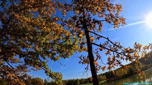 Как ты прекрасна, осень! 🍁🍁🍁 смотреть онлайн