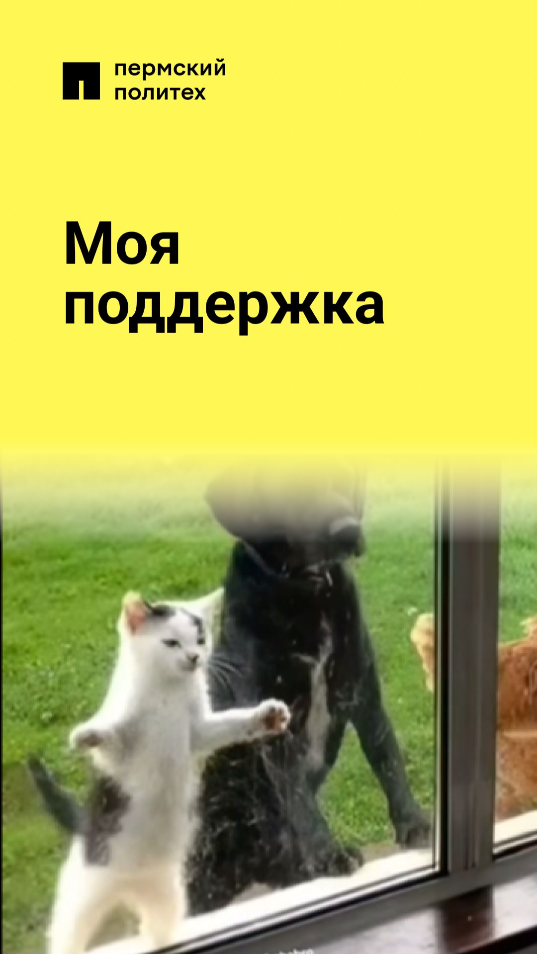 Моя поддержка смотреть онлайн