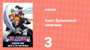 Блич: Временный синигами 3 серия (аниме-сериал, 2004)