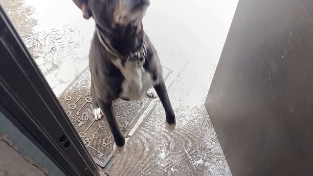 Бебик молодец смотреть онлайн