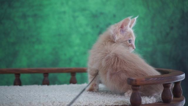 Jason 2,5 месяца смотреть онлайн