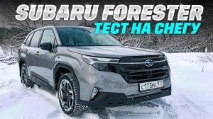 Subaru Forester VI: полный привод и японское качество. Где минусы?