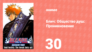 Блич: Общество душ: Проникновение 30 серия (аниме-сериал, 2004)