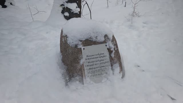 Парк Ближние Дубки