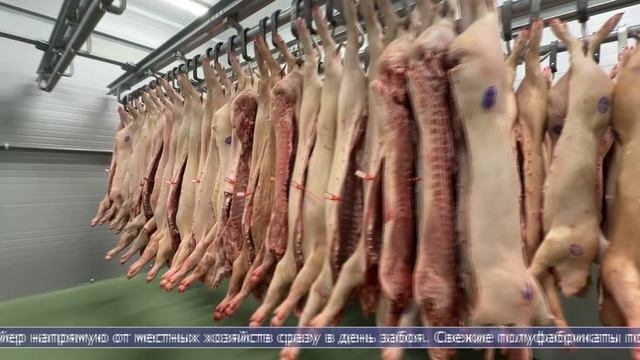 23.01.2026 До 20 тонн мяса, выращенного на Сахалине, перерабатывают в агрокомплексе смотреть онлайн