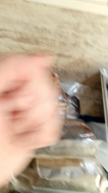 Рыба холодного копчения свежая только из коптилки. Доступна для заказа