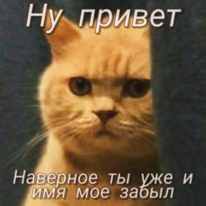 👋👋👋ВСЕМ ПРИВЕТ 👋👋👋