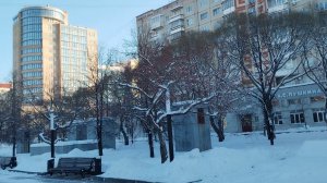 Свиристель или дрозд-рябинник?