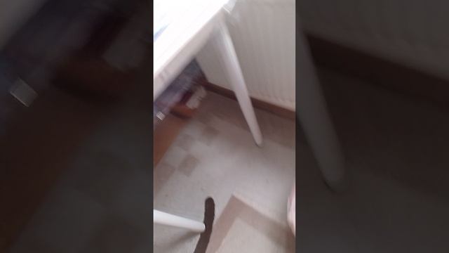 1000012067.mp4 смотреть онлайн