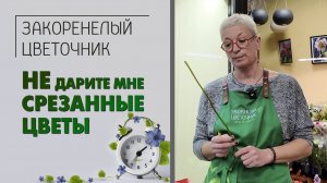 Не дарите мне срезанные цветы. Когда букет собирали? Уставшие цветы. Как продлить жизнь букету.