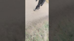 1000021242.mp4