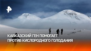 Кавказский ген помогает легче переносить кислородное голодание