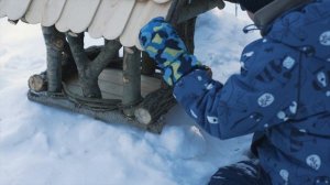 Поможем зимующим птицам