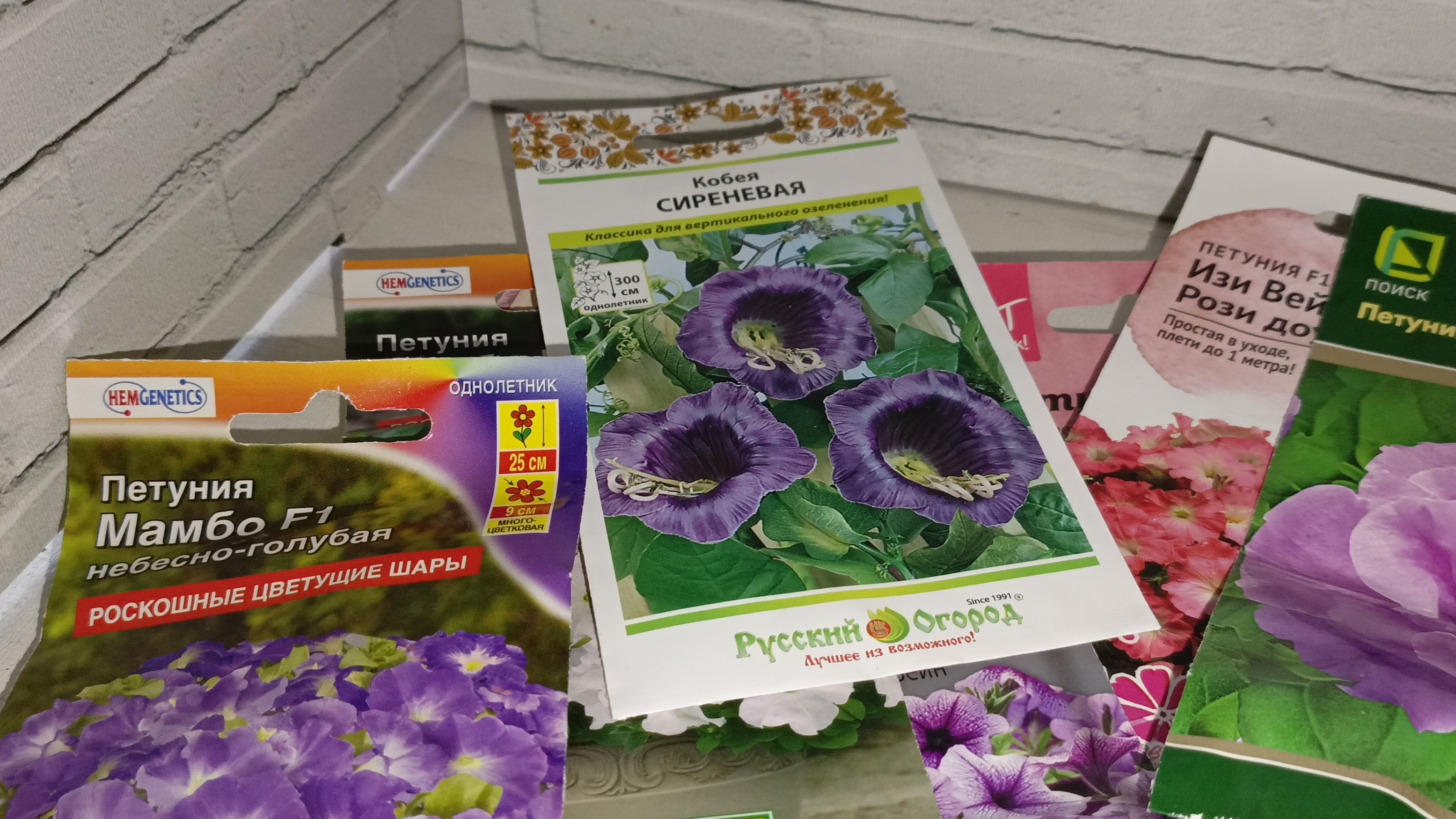 Семена цветов на лето 2026 смотреть онлайн