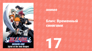 Блич: Временный синигами 17 серия (аниме-сериал, 2004)