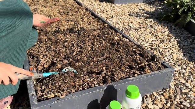 Сажаем редис с агрономом