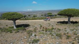 Сокотра - самый инопланетный остров.