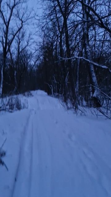 Зимняя дорога к чудесному озеру! Красивая дорога! #зимняясказка #зимняярыбалка #фишмир #снежнаядорог смотреть онлайн