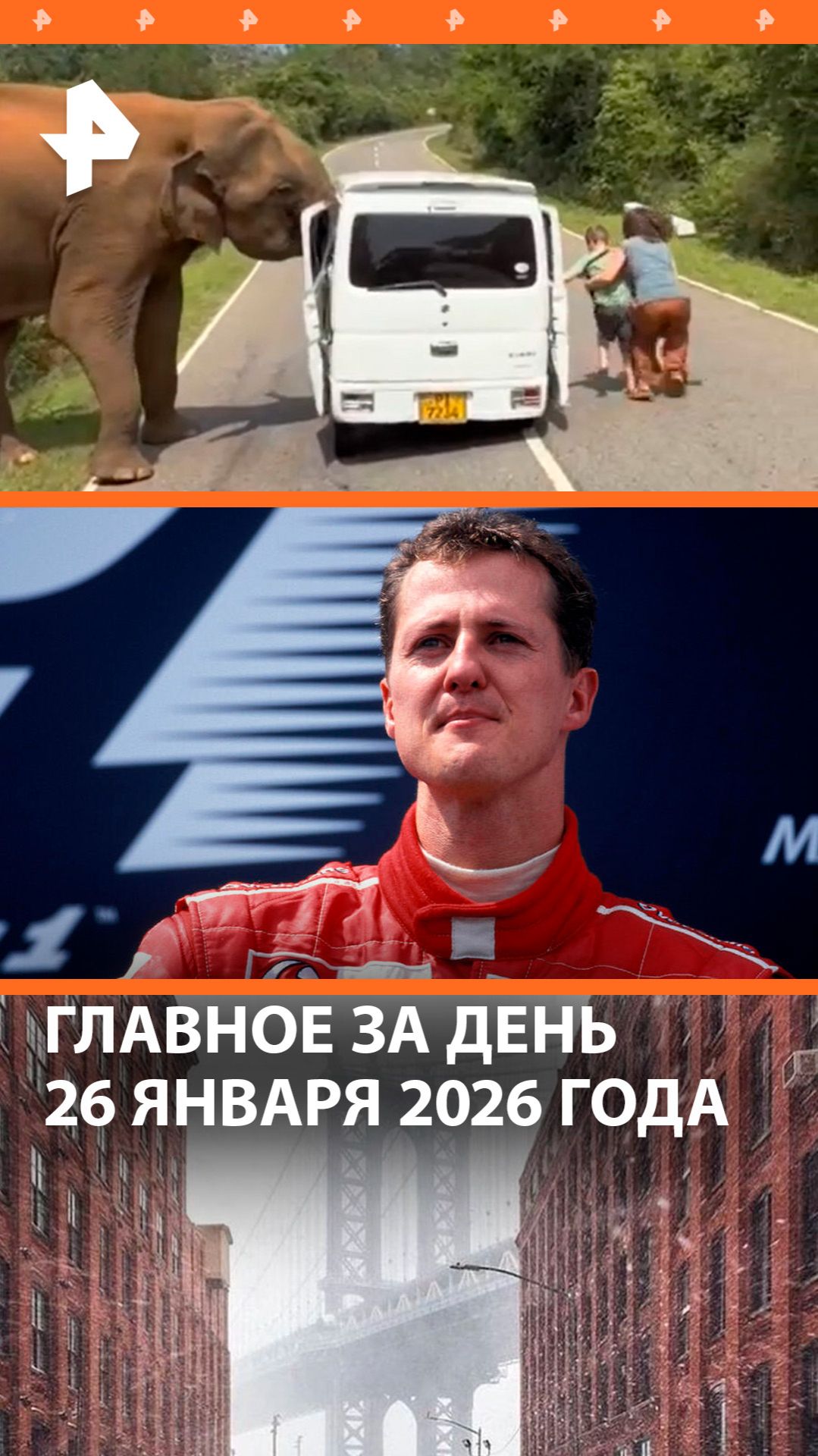 Мэра хотели расстрелять из гранатомета / Слон напал на россиян на Шри-Ланке / ДАЙДЖЕСТ РЕН ТВ смотреть онлайн