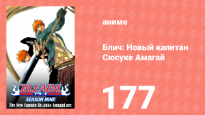 Блич: Новый капитан Сюсуке Амагай 177 серия (аниме-сериал, 2004)