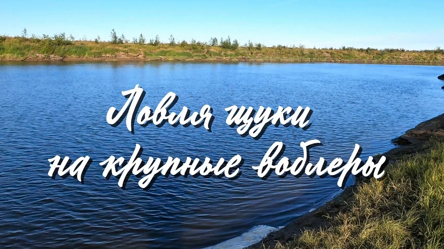 ЛОВЛЯ ЩУКИ НА КРУПНЫЕ ВОБЛЕРЫ!!! смотреть онлайн