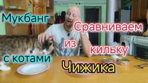 Мукбанг/Сравниваем кильку из ЧИЖИКА/Готовим дома ХАЧАПУРИ по-аджарски/Мерзкая погода на ЮГЕ/Замело