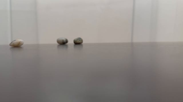 Расклад: какой мужчина мне нужен? Рунология. смотреть онлайн