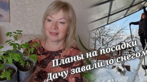Приехали домой Скоро сеять Планирую посадки Как раньше не будет. Дачу завалило снегом