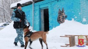 ЦКС УМВД России по Владимирской области посетили участники ведомственной акции «Студенческий десант»