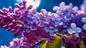 Весенний романс