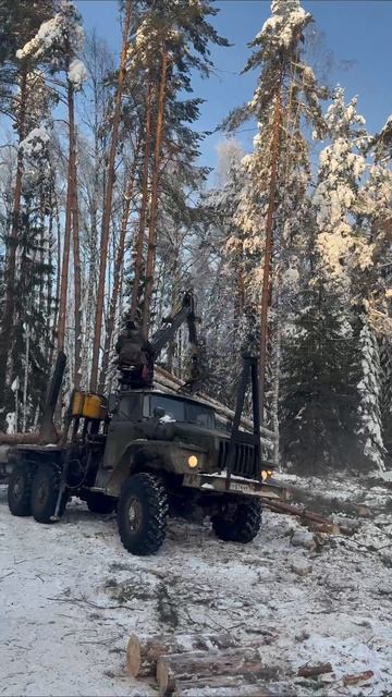 Чем занимаются мужики в свободное время и не звонят своим девушкам🤣
#авто #автомобилист #автомобили смотреть онлайн