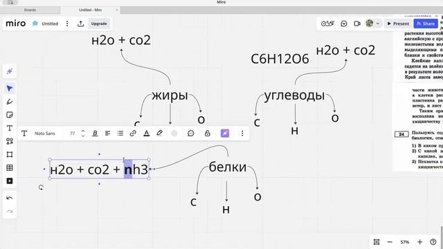 24 задание ОГЭ по биологии смотреть онлайн