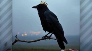 Кэнли - В Тёмную Ночь