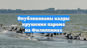 Опубликованы кадры крушения парома на Филиппинах