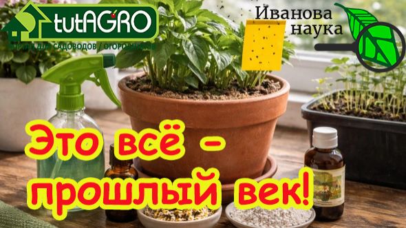 Не слушайте глупых про черных мух! Чёрные мошки в рассаде? Убейте их за 1 минуту БЕЗ ХИМИИ!