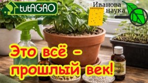 Не слушайте глупых про черных мух! Чёрные мошки в рассаде? Убейте их за 1 минуту БЕЗ ХИМИИ!