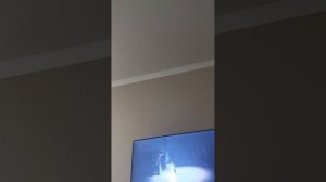 Маленькие кошмары. Г. А.