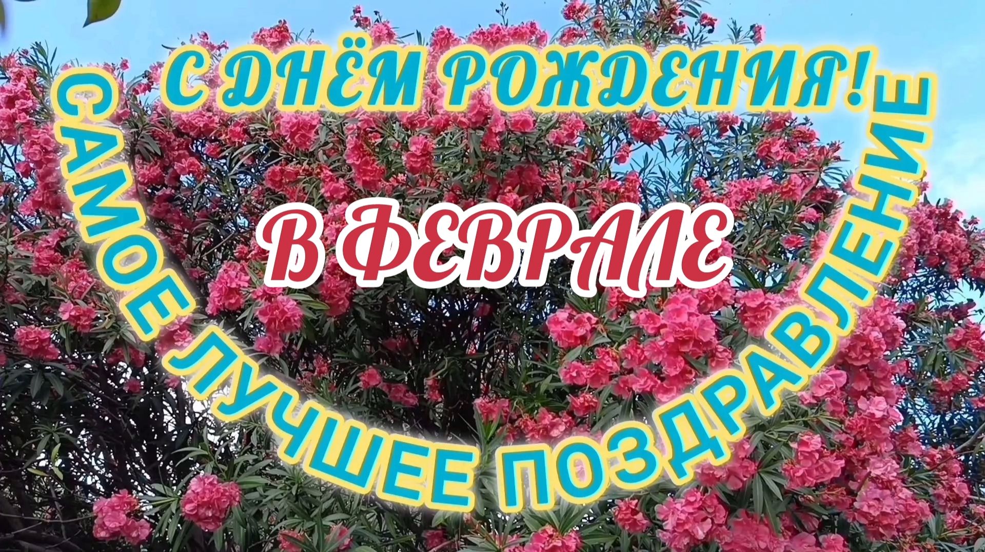 С ДНЁМ РОЖДЕНИЯ В ФЕВРАЛЕ! смотреть онлайн